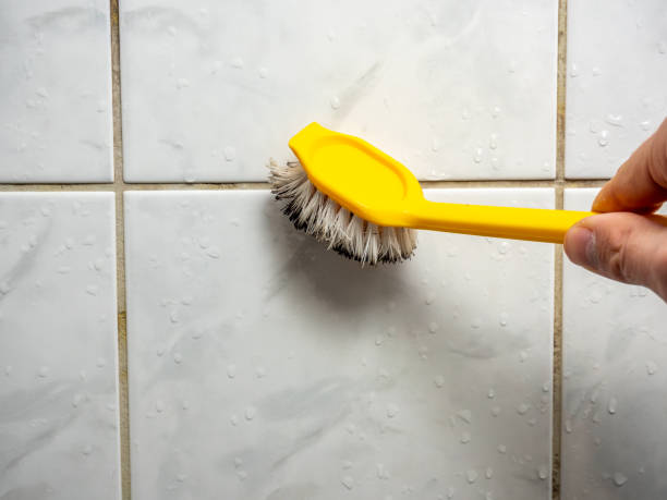 Best Mold Testing  in Spokane, WA