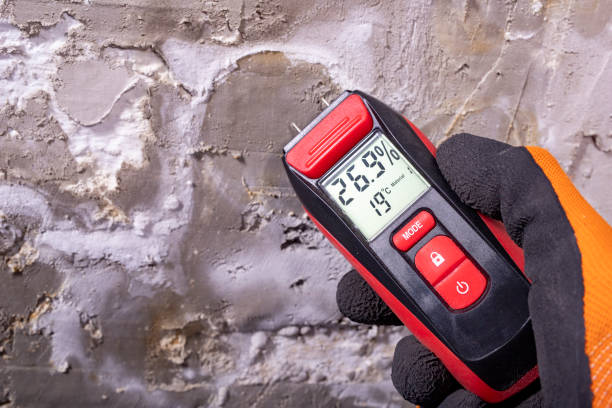 Best Toxic Mold Removal  in Spokane, WA