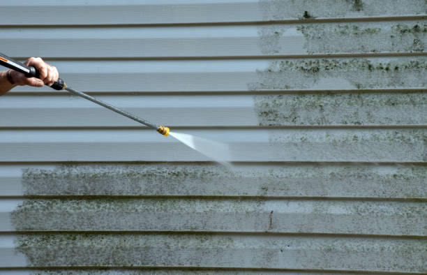 Best Certified Mold Removal  in Spokane, WA