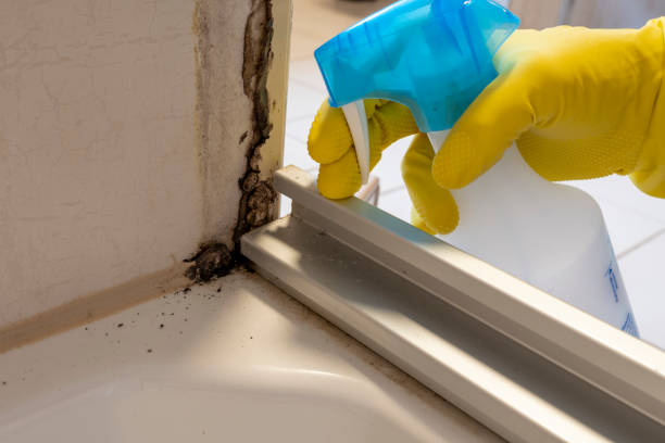 Best Mold Remediation  in Spokane, WA