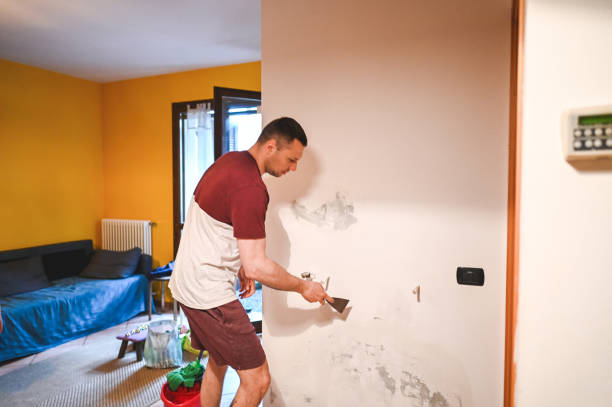 Best Fast Mold Removal  in Spokane, WA
